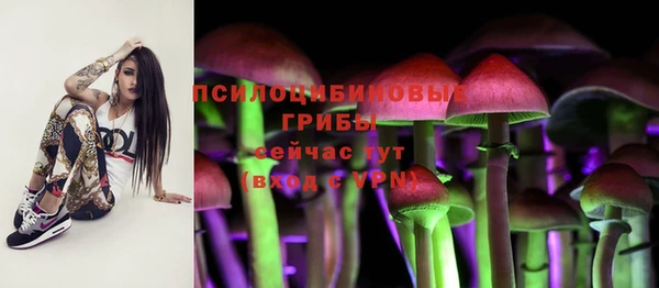 бутират Новозыбков