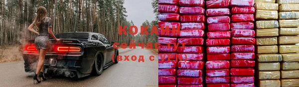 мет Новодвинск