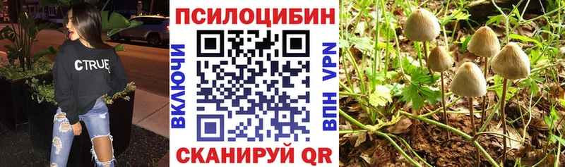 Галлюциногенные грибы ЛСД  Островной 