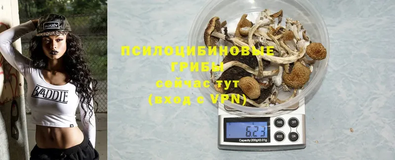 цены   omg как зайти  Галлюциногенные грибы Psilocybine cubensis  Островной 