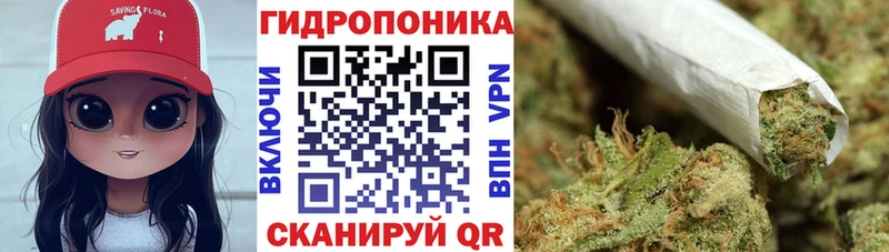 Бошки марихуана сатива  Островной 